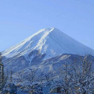 修真江湖华为登录版下载
